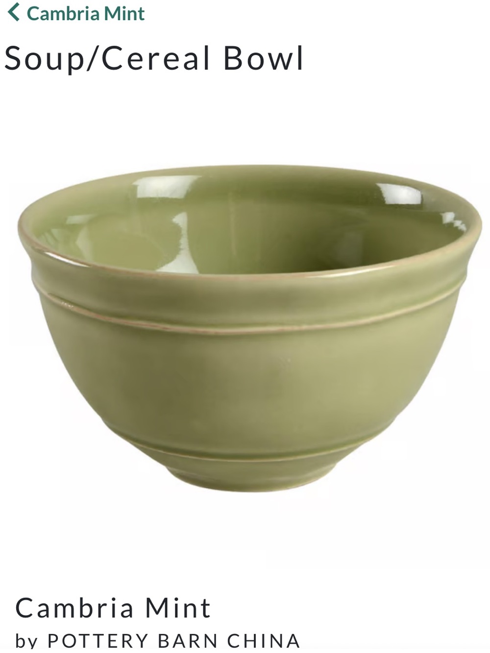 Pottery Barn China Cambria Mint Ceramic Soup Bowl replacement.